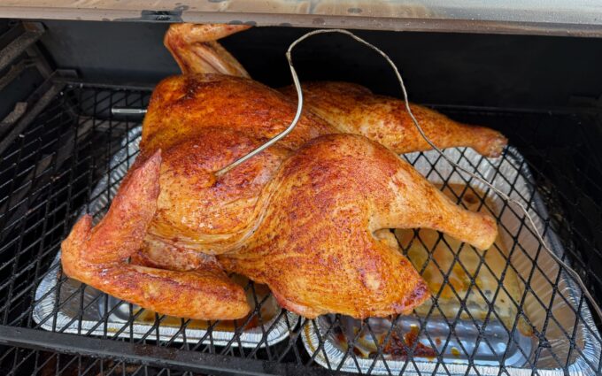 Spatchcocked turkey with deep golden skin on the smoker with a probe thermometer